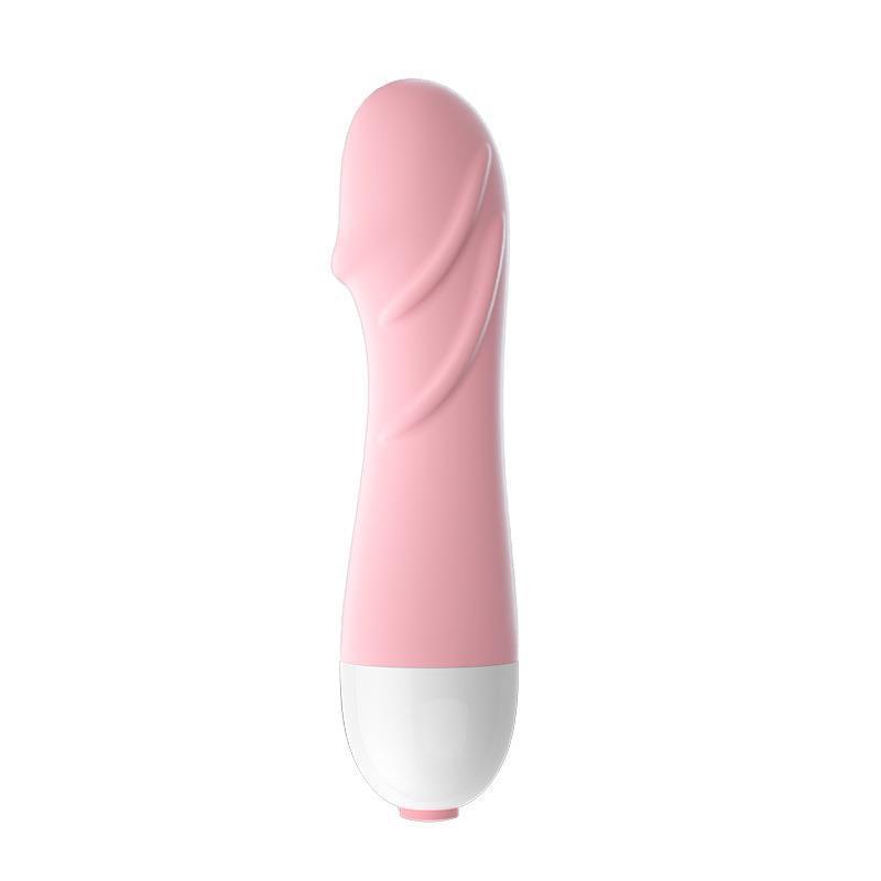 Máy rung Mini-duoc-ban-tai-Xích Đạo Shop
