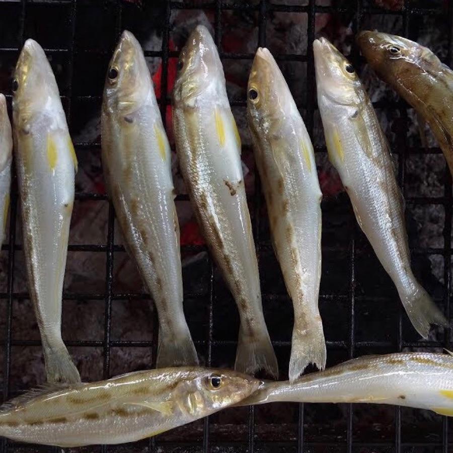 Cá Bống Đục ~500gr ( làm sạch)-duoc-ban-tai-Cửa hàng Thực Phẩm An Toàn Mẹ Bella