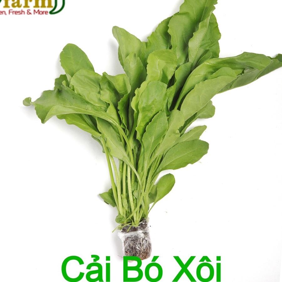 Cải bó xôi (túi ~500gr) -duoc-ban-tai-Cửa hàng Thực Phẩm An Toàn Mẹ Bella