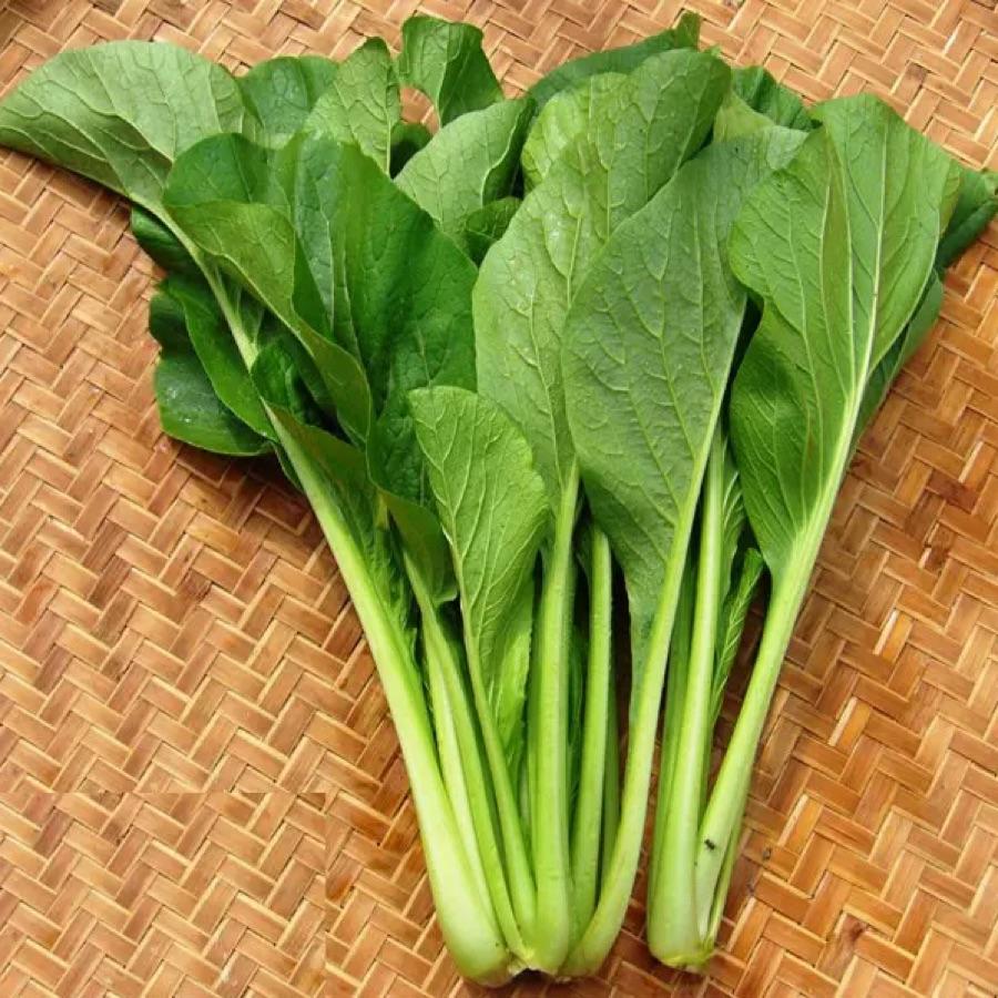 Cải Ngọt (túi ~350gr)-duoc-ban-tai-Cửa hàng Thực Phẩm An Toàn Mẹ Bella