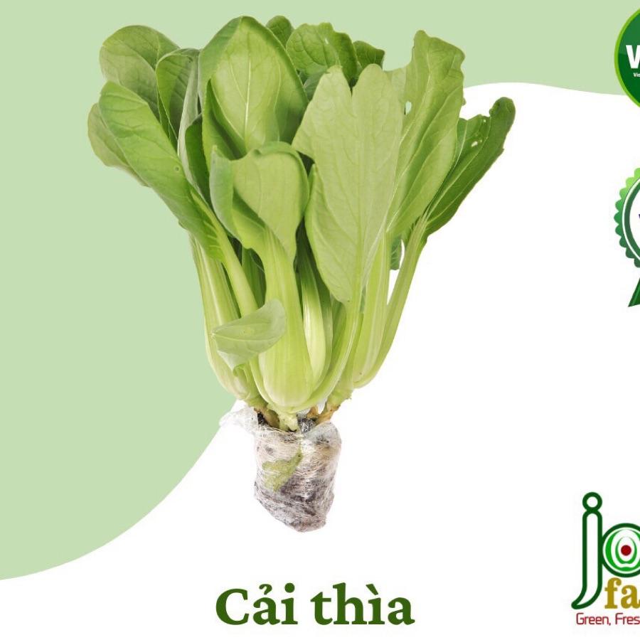 Cải Thìa (~400gr)-duoc-ban-tai-Cửa hàng Thực Phẩm An Toàn Mẹ Bella