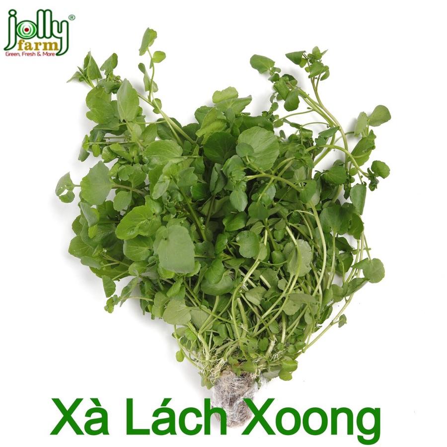 Rau Xà lách Xoong (túi ~500gr)-duoc-ban-tai-Cửa hàng Thực Phẩm An Toàn Mẹ Bella