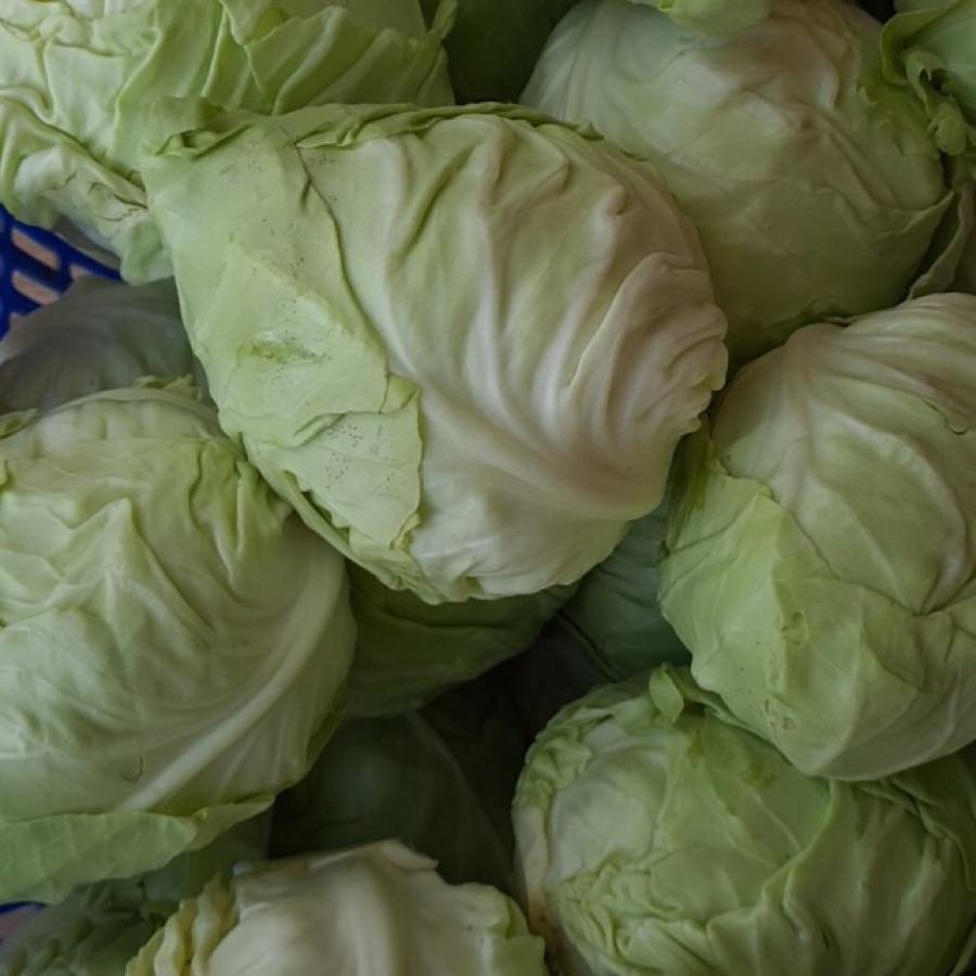 Sú Tim -duoc-ban-tai-Cửa hàng Thực Phẩm An Toàn Mẹ Bella