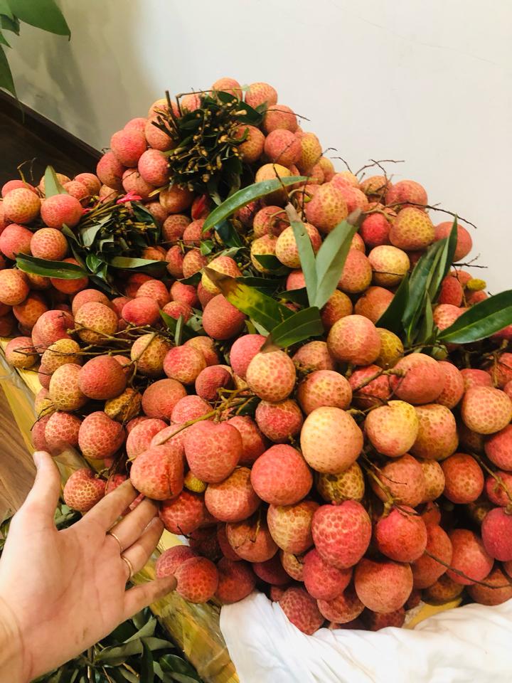 Vải (lẻ/kg)-duoc-ban-tai-Đông Hae Ecodream