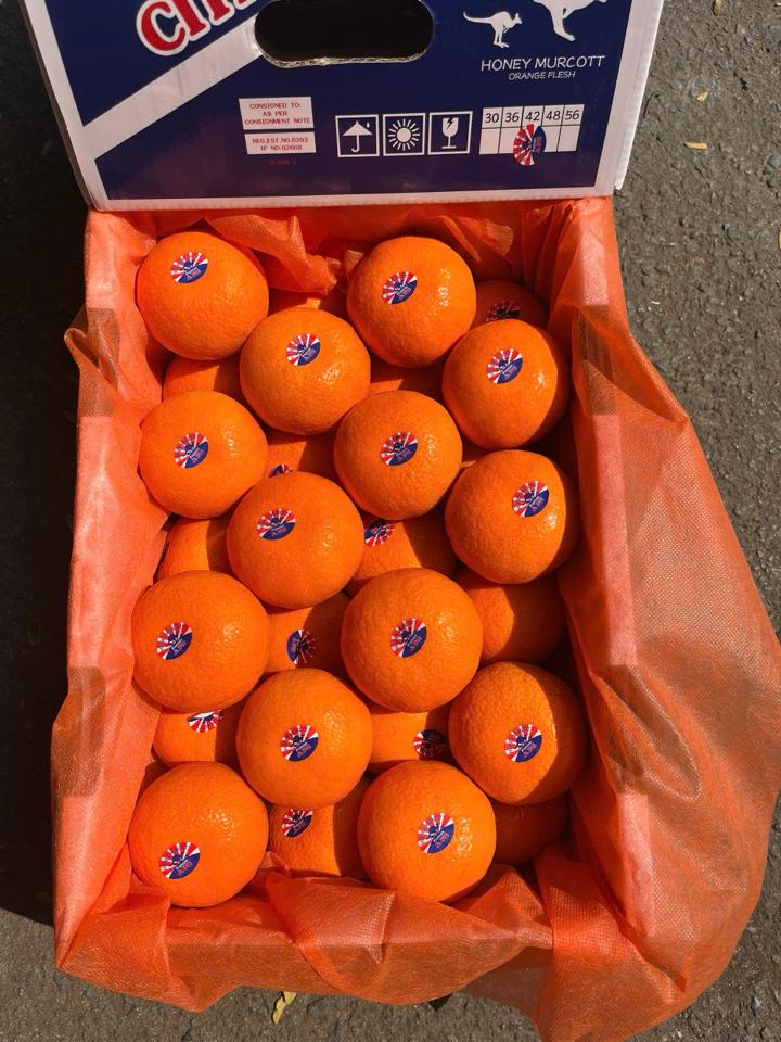 Quýt APH Citrus-duoc-ban-tai-Như STORE - Fresh Fruit