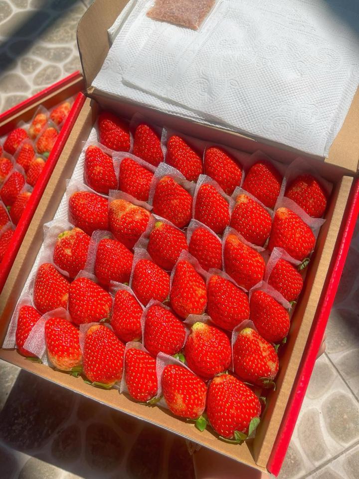 Dâu Nhật Sky Đà Lạt-duoc-ban-tai-Như STORE - Fresh Fruit