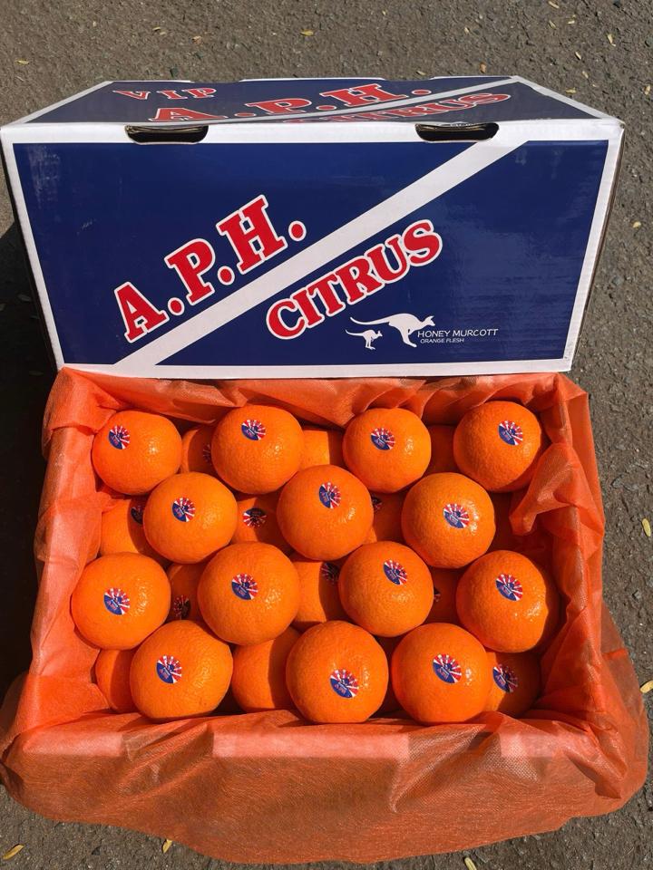 Quýt APH Citrus-duoc-ban-tai-Như STORE - Fresh Fruit