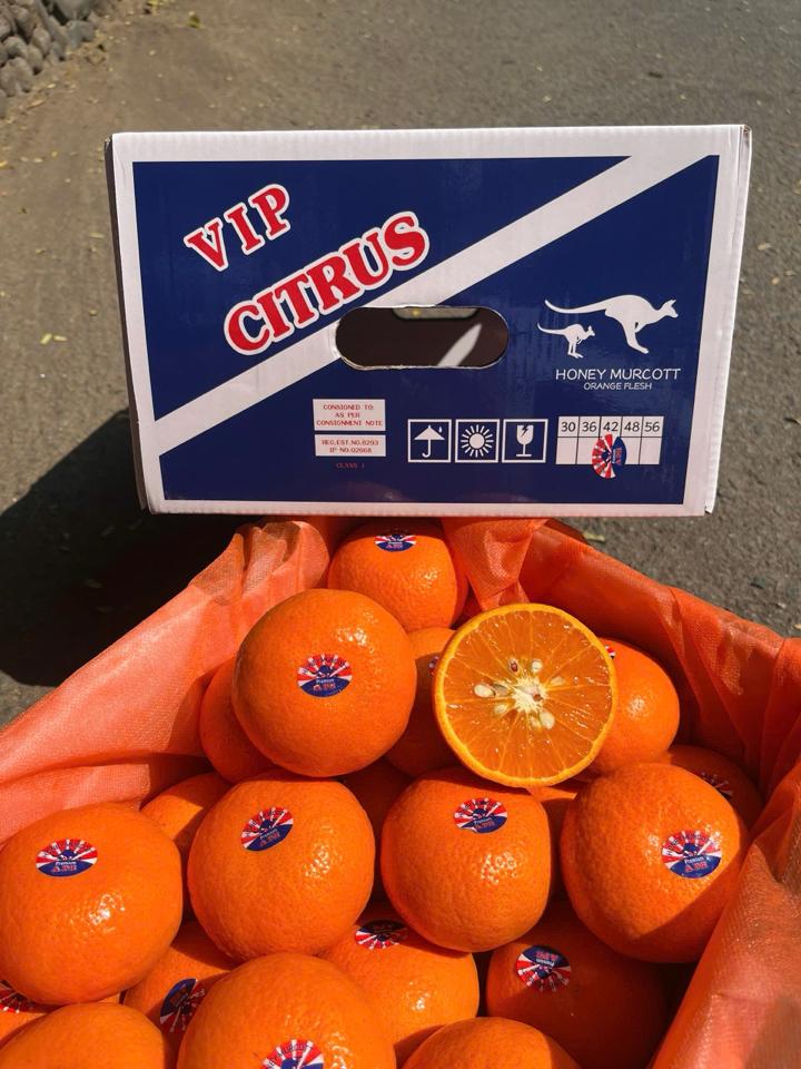 Quýt APH Citrus-duoc-ban-tai-Như STORE - Fresh Fruit