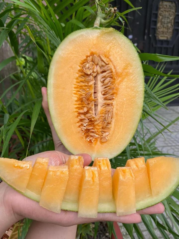 Dưa lưới nhập khẩu-duoc-ban-tai-Như STORE - Fresh Fruit