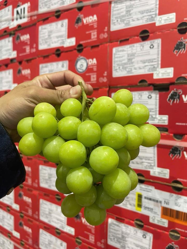 Nho xanh Nam Phi-duoc-ban-tai-Như STORE - Fresh Fruit
