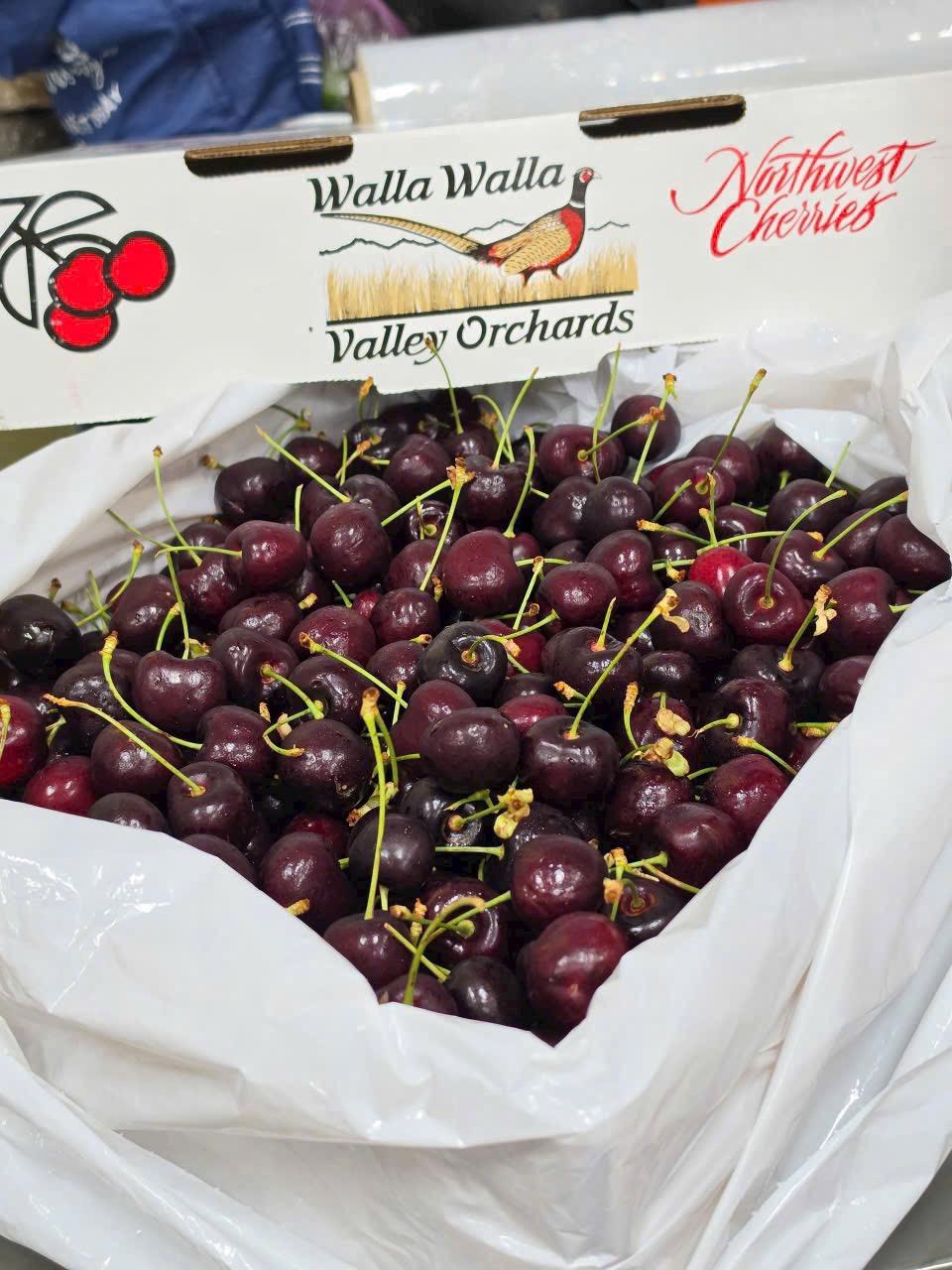 Cherry Mỹ-duoc-ban-tai-Như STORE