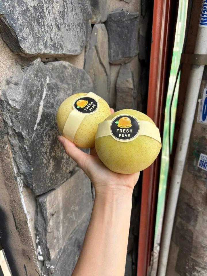 Lê sữa-duoc-ban-tai-Như STORE - Fresh Fruit