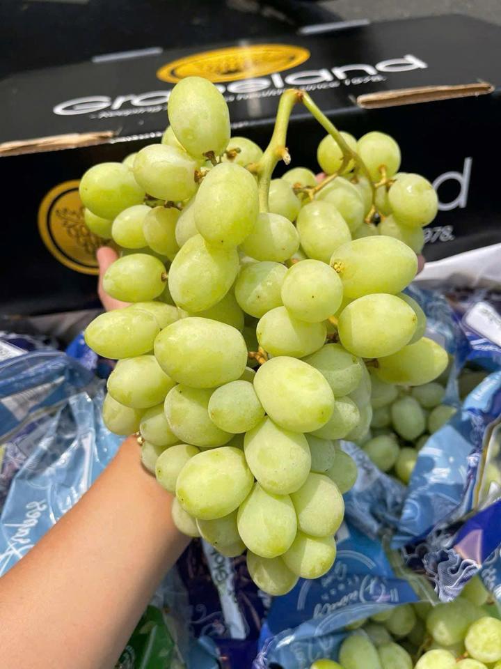 Nho xanh Úc-duoc-ban-tai-Như STORE - Fresh Fruit