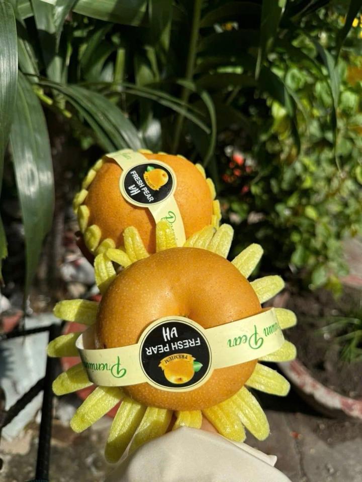 Lê nâu-duoc-ban-tai-Như STORE - Fresh Fruit