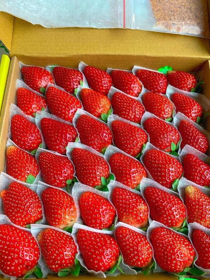 Dâu Nhật Sky Đà Lạt-duoc-ban-tai-Như STORE - Fresh Fruit