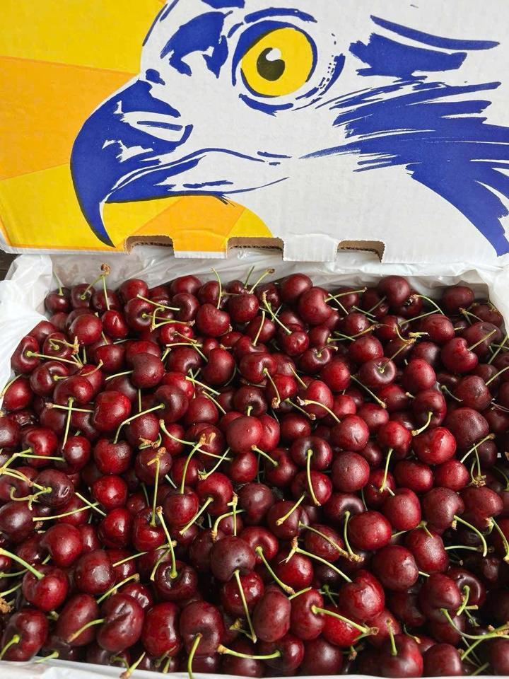 Cherry Mỹ Size 9.5-duoc-ban-tai-Như STORE - Fresh Fruit