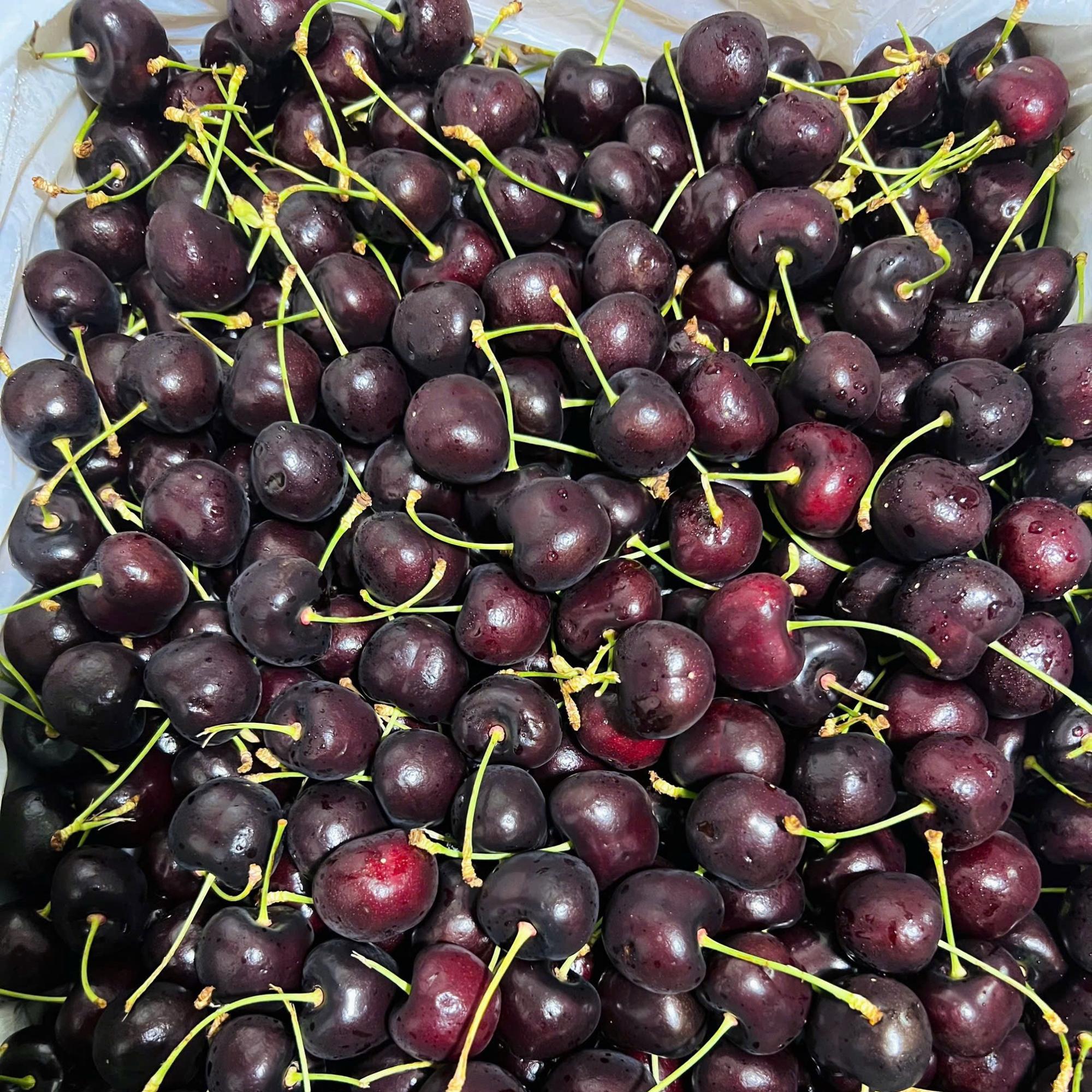 Cherry Mỹ-duoc-ban-tai-Như STORE
