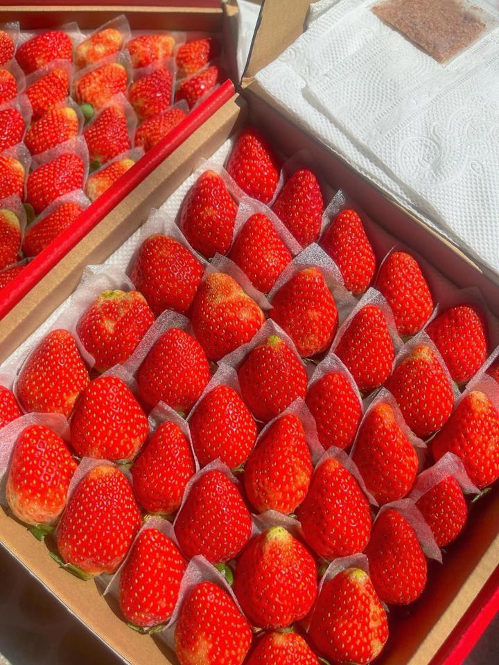 Dâu Nhật Sky Đà Lạt-duoc-ban-tai-Như STORE - Fresh Fruit