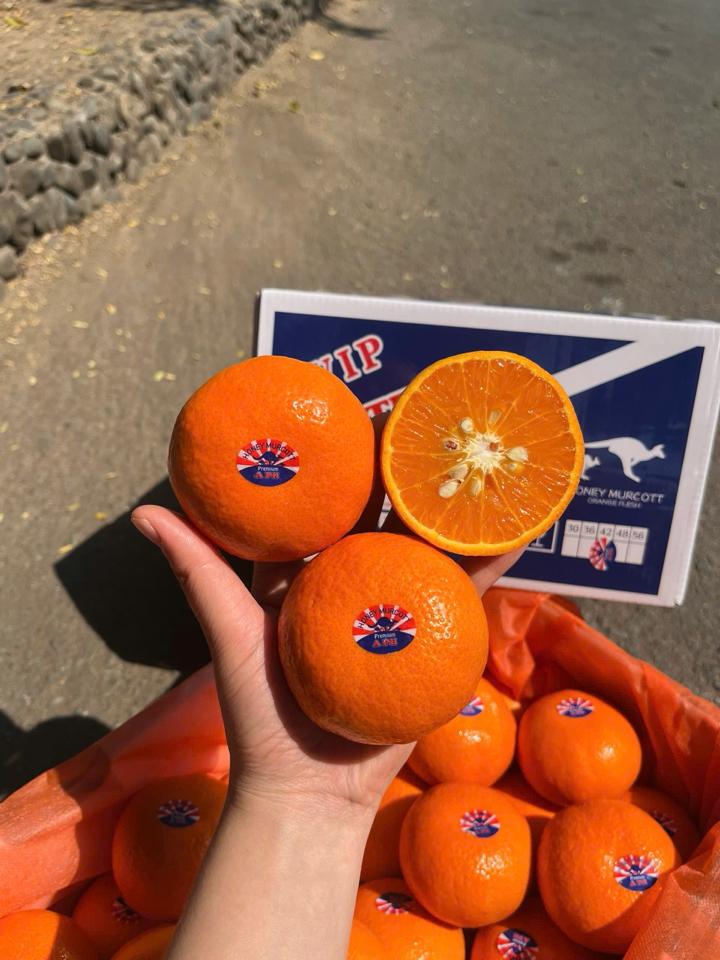 Quýt APH Citrus-duoc-ban-tai-Như STORE - Fresh Fruit