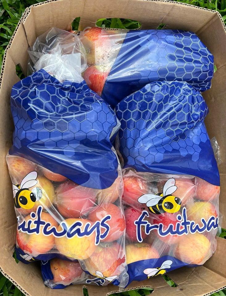 Táo túi Nam Phi Core-duoc-ban-tai-Như STORE - Fresh Fruit