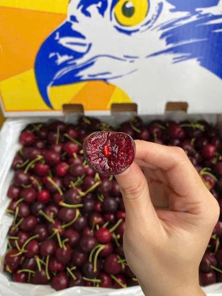 Cherry Mỹ Size 9.5-duoc-ban-tai-Như STORE - Fresh Fruit