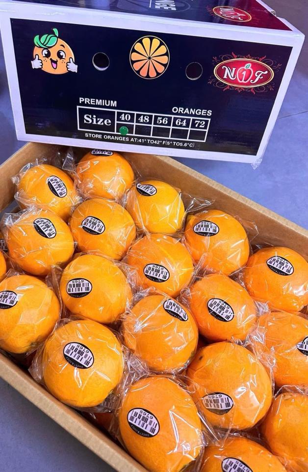 Cam kiếng-duoc-ban-tai-Như STORE - Fresh Fruit