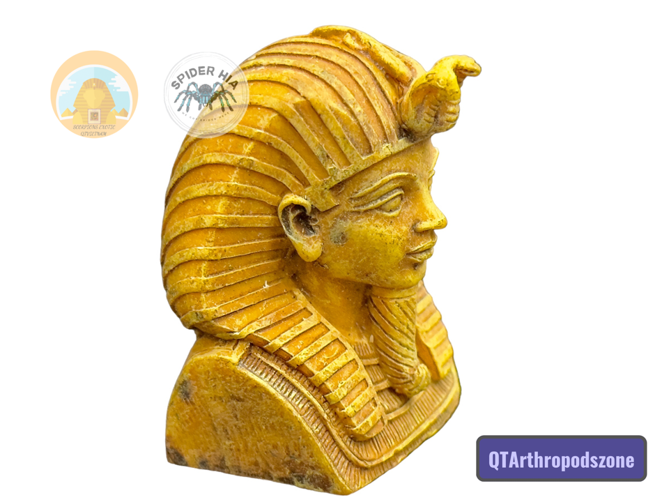 Tượng Vua Pharaoh Ai Cập-duoc-ban-tai-QTArthropodszone (Scorpions Exotic QTVietNam & SpiderHia)