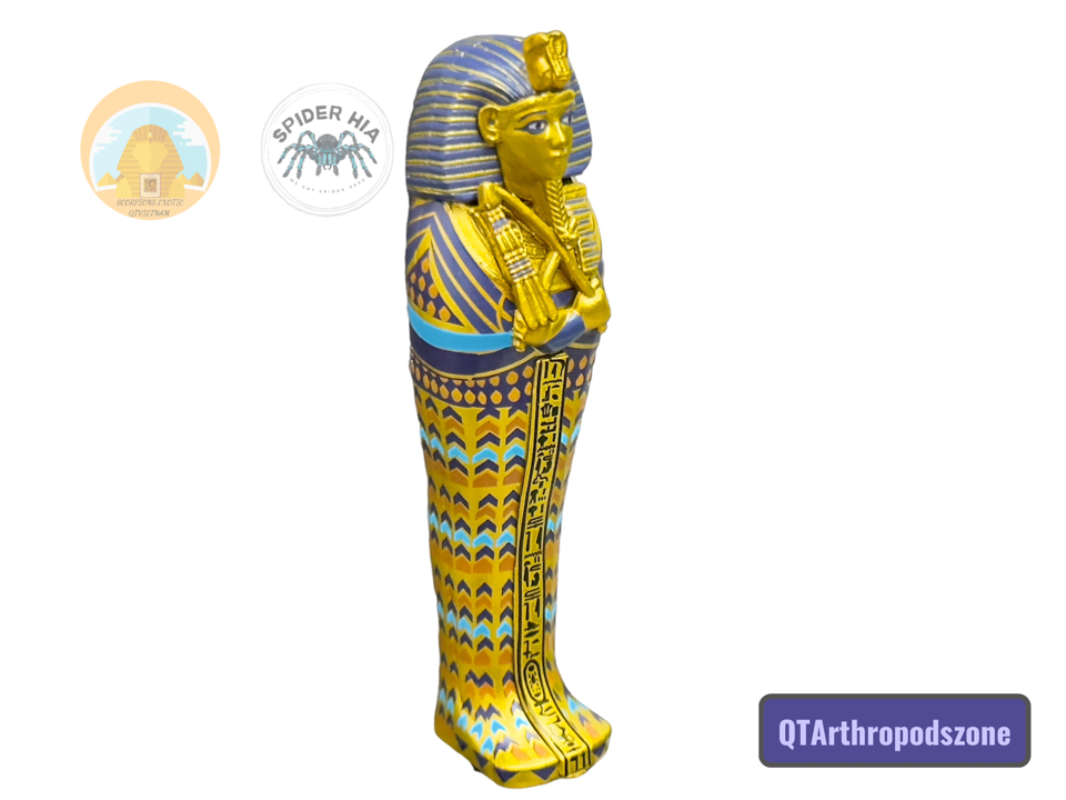 Egyptian Pharaoh Mummy: Quan Tài Xác Ướp Ai Cập-duoc-ban-tai-QTArthropodszone (Scorpions Exotic QTVietNam & SpiderHia)