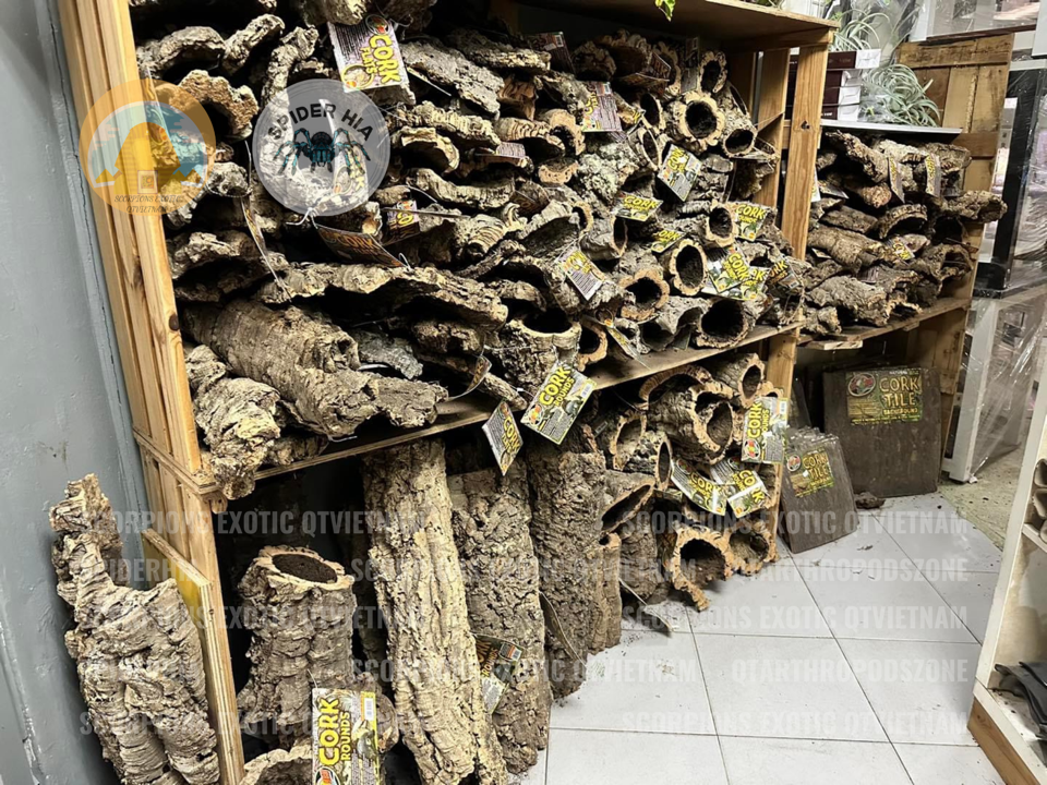 Cork Bark (Tubes)-duoc-ban-tai-QTArthropodszone (Scorpions Exotic QTVietNam & SpiderHia)