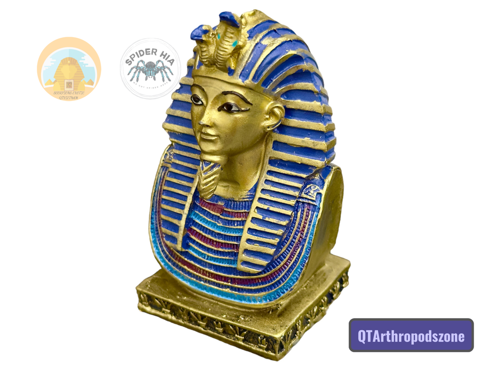 Tượng Vua Pharaoh Tutankhamun-duoc-ban-tai-QTArthropodszone (Scorpions Exotic QTVietNam & SpiderHia)