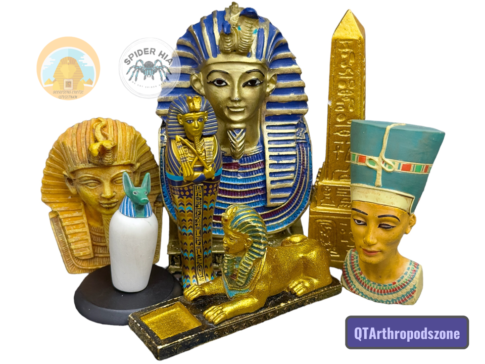 Egyptian Pharaoh Mummy: Quan Tài Xác Ướp Ai Cập-duoc-ban-tai-QTArthropodszone (Scorpions Exotic QTVietNam & SpiderHia)