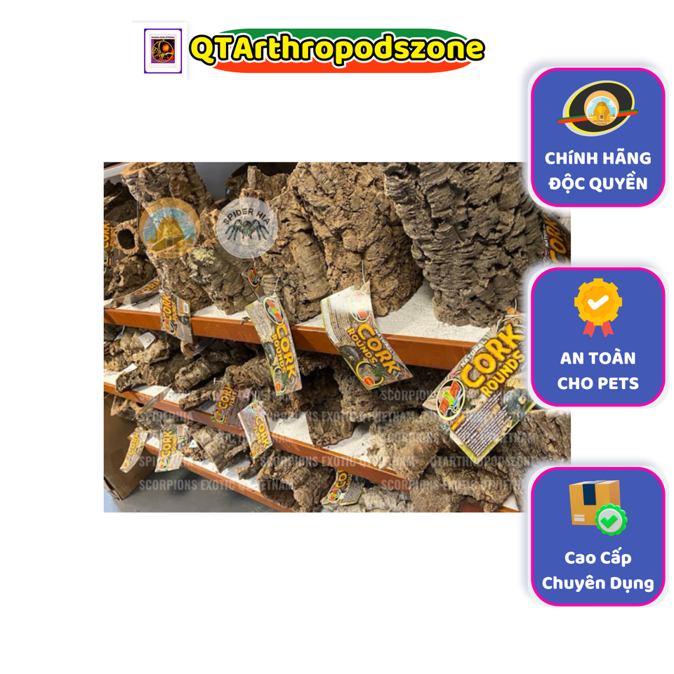 Cork Bark (Tubes)-duoc-ban-tai-QTArthropodszone (Scorpions Exotic QTVietNam & SpiderHia)