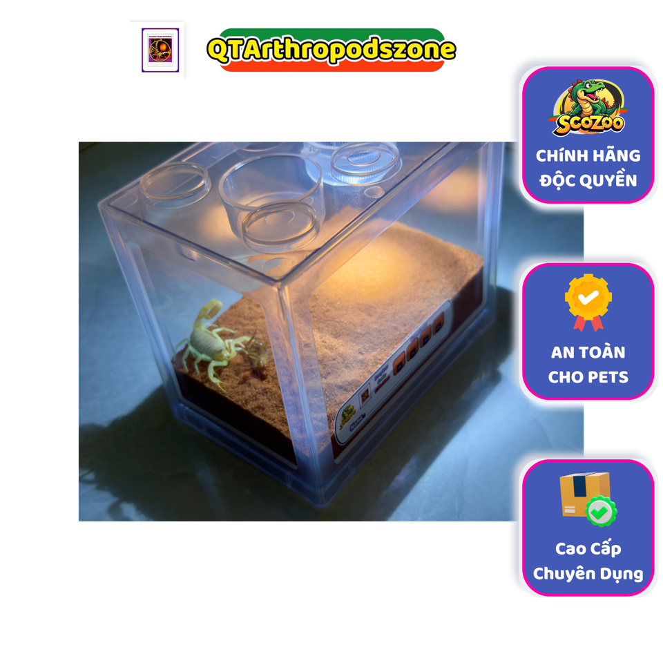 Super Tank/Hộp Chuyên Dụng Nuôi Pets: Nhện, Rết, Bọ Cạp, … (Côn Trùng)-duoc-ban-tai-QTArthropodszone (Scorpions Exotic QTVietNam & SpiderHia)