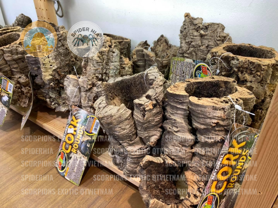Cork Bark (Tubes)-duoc-ban-tai-QTArthropodszone (Scorpions Exotic QTVietNam & SpiderHia)