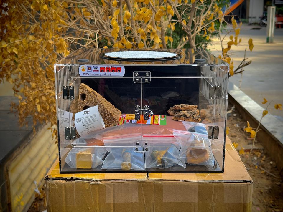 Mega Super Tank Mica MMQTA01-duoc-ban-tai-QTArthropodszone (Scorpions Exotic QTVietNam & SpiderHia)
