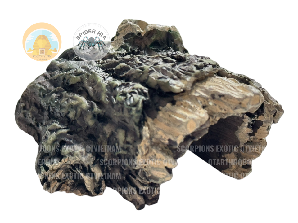 Hang Trú Hốc Cây (giả Cork Bark) Chuyên Dụng Cho Côn trùng (Bọ Cạp/Tarantula/Isopod/Rết/…) Chính Hãng QTArthropodszone-duoc-ban-tai-QTArthropodszone (Scorpions Exotic QTVietNam & SpiderHia)