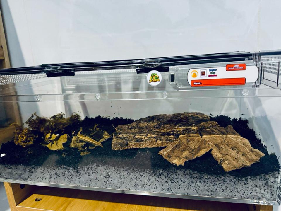 Super Tank Mica QTA01: Hộp Mica Nuôi Côn Trùng Và Bò Sát Chuyên Dụng Chính Hãng-duoc-ban-tai-QTArthropodszone (Scorpions Exotic QTVietNam & SpiderHia)