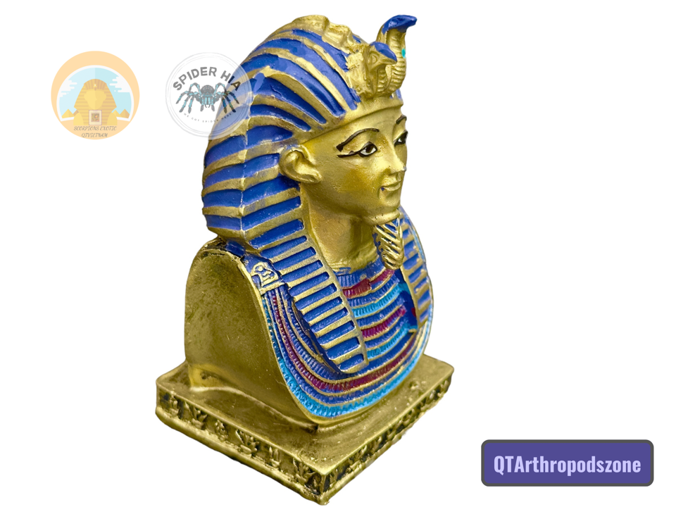 Tượng Vua Pharaoh Tutankhamun-duoc-ban-tai-QTArthropodszone (Scorpions Exotic QTVietNam & SpiderHia)