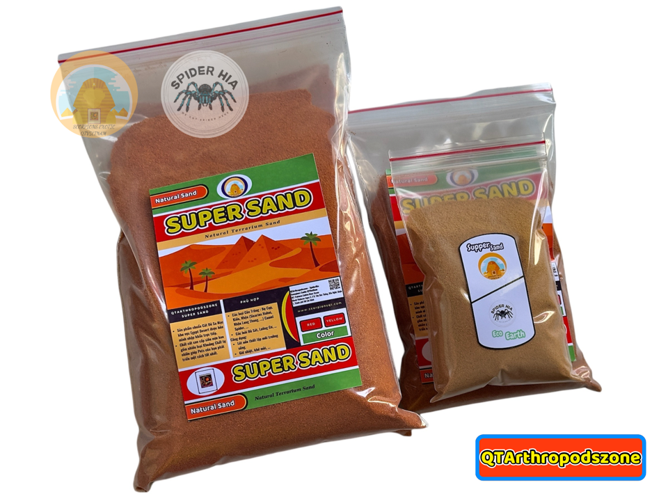 Super Sand Desert (Chính Hãng QTArthropodszone)-duoc-ban-tai-QTArthropodszone (Scorpions Exotic QTVietNam & SpiderHia)