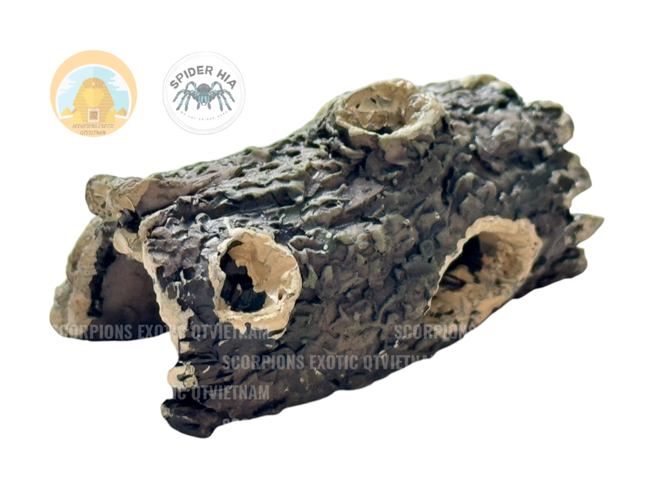 Hang Trú Hốc Cây (giả Cork Bark) Chuyên Dụng Cho Côn trùng (Bọ Cạp/Tarantula/Isopod/Rết/…) Chính Hãng QTArthropodszone-duoc-ban-tai-QTArthropodszone (Scorpions Exotic QTVietNam & SpiderHia)