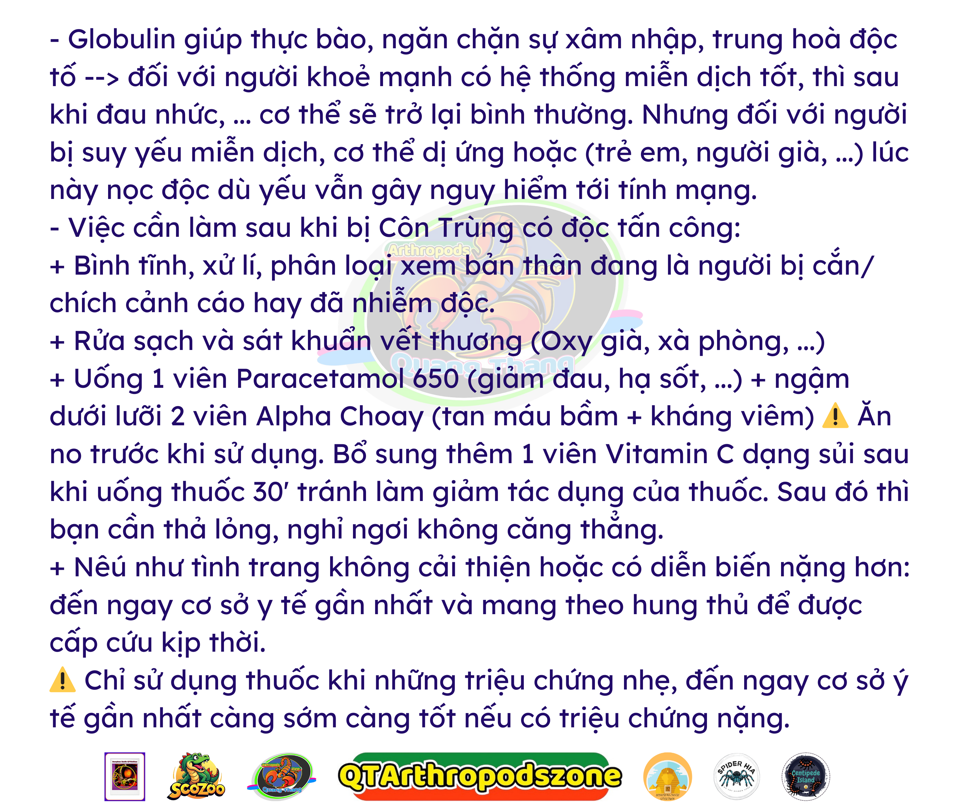 Hadrurus spadix (Hadrurus jedediah) Jedi Black Hairy scorpion-duoc-ban-tai-QTArthropodszone (Scorpions Exotic QTVietNam & SpiderHia)