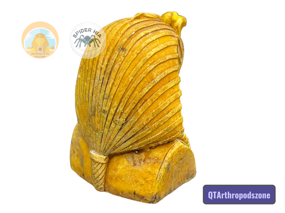 Tượng Vua Pharaoh Ai Cập-duoc-ban-tai-QTArthropodszone (Scorpions Exotic QTVietNam & SpiderHia)