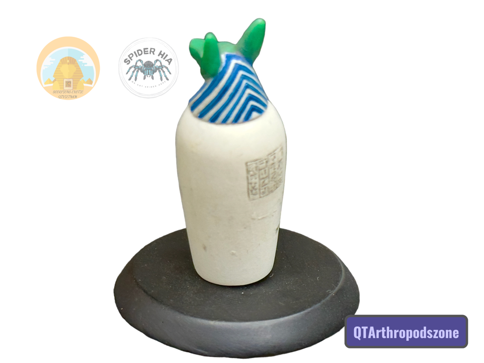 Bình Đựng Nội Tạng Ai Cập Cổ Đại-duoc-ban-tai-QTArthropodszone (Scorpions Exotic QTVietNam & SpiderHia)