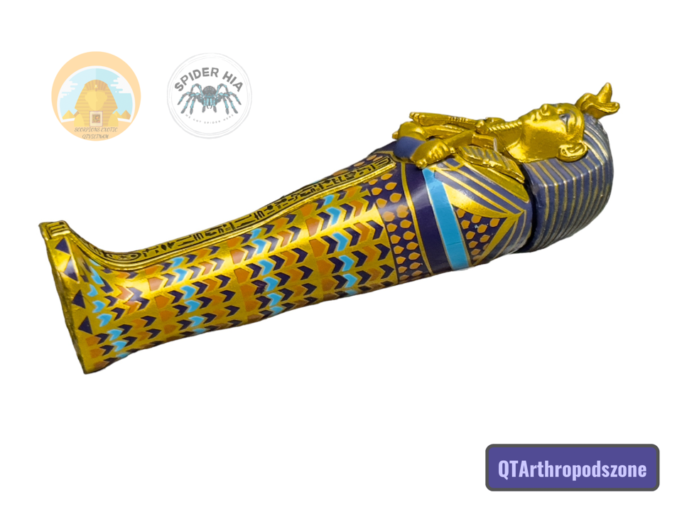 Egyptian Pharaoh Mummy: Quan Tài Xác Ướp Ai Cập-duoc-ban-tai-QTArthropodszone (Scorpions Exotic QTVietNam & SpiderHia)