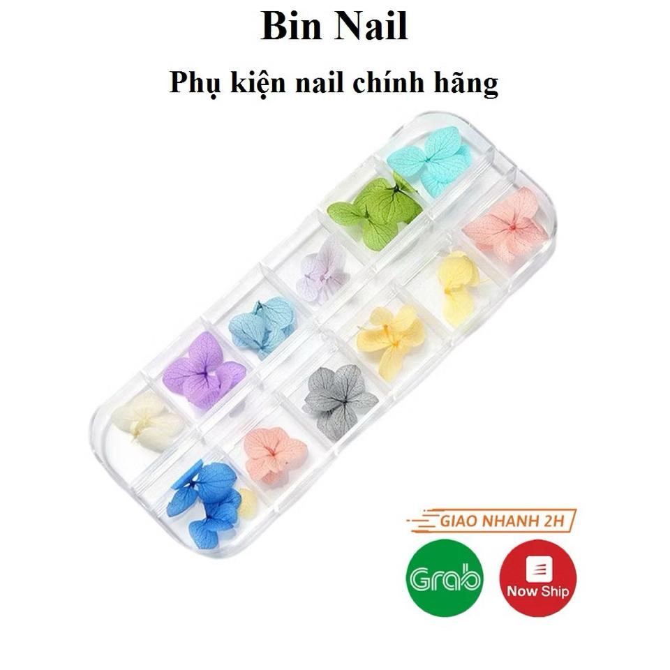 B- Set Hoa khô cánh to-duoc-ban-tai-NAIL GIA TUỆ