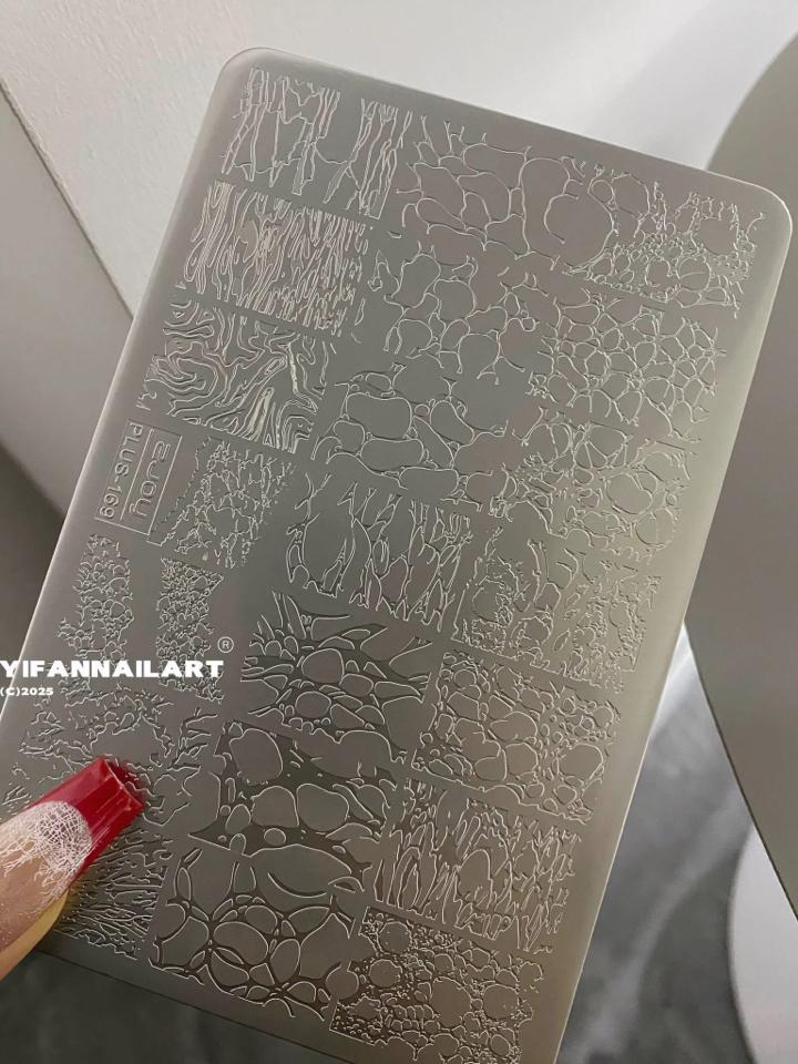 Khuôn in lưới-duoc-ban-tai-NAIL GIA TUỆ