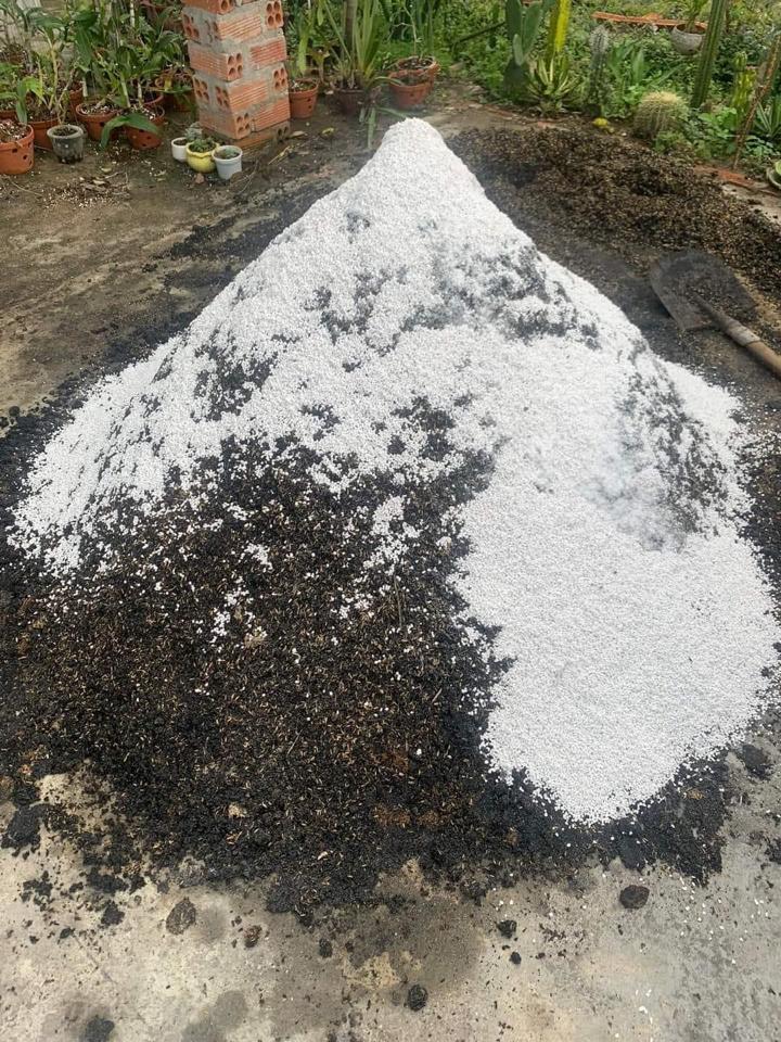 Đất Trộn Của Vườn-duoc-ban-tai-Asaly Garden