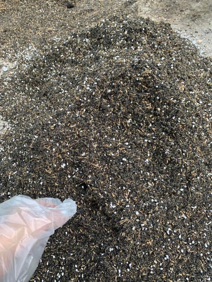 Đất Trộn Của Vườn-duoc-ban-tai-Asaly Garden