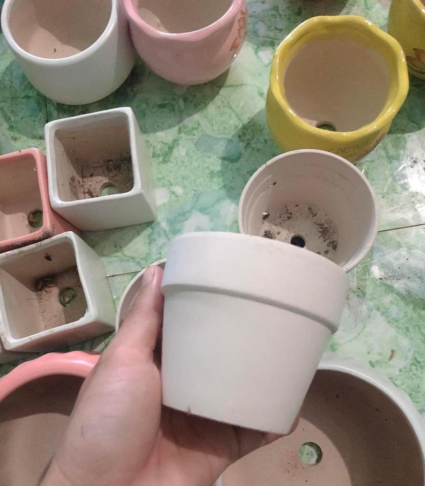 Chậu mini 35k -duoc-ban-tai-Asaly Garden