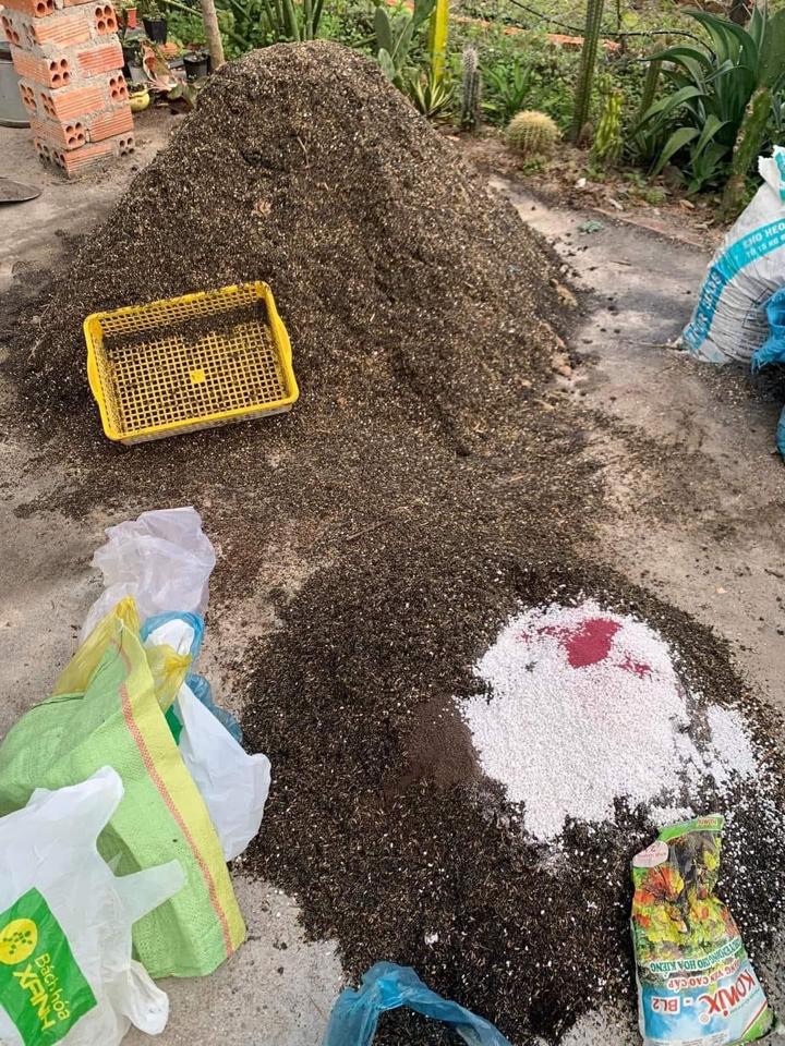 Đất Trộn Của Vườn-duoc-ban-tai-Asaly Garden